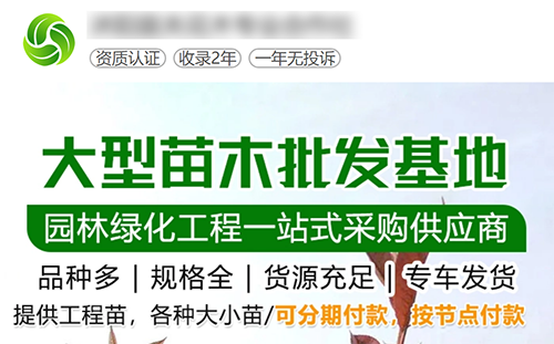 苗木百度推广案例