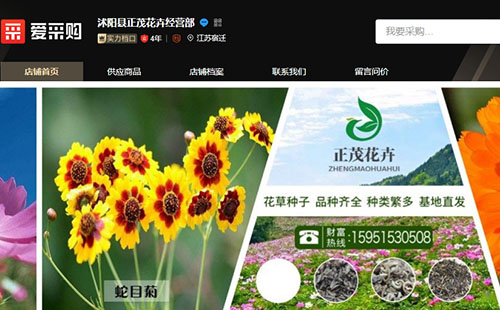 花木种子爱采购实力档口